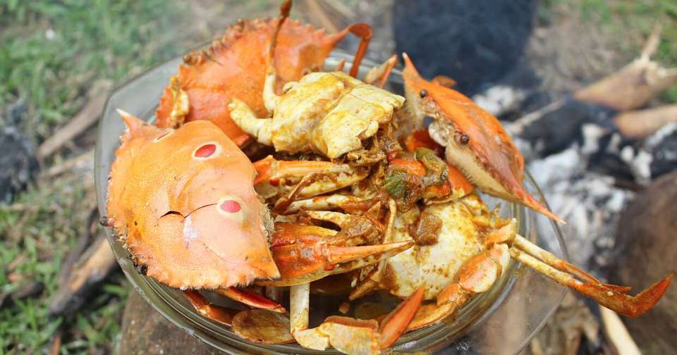 A Taste of Northern Sri Lanka - Jaffna to Colombo - Explore - Sri Lanka - Image 14