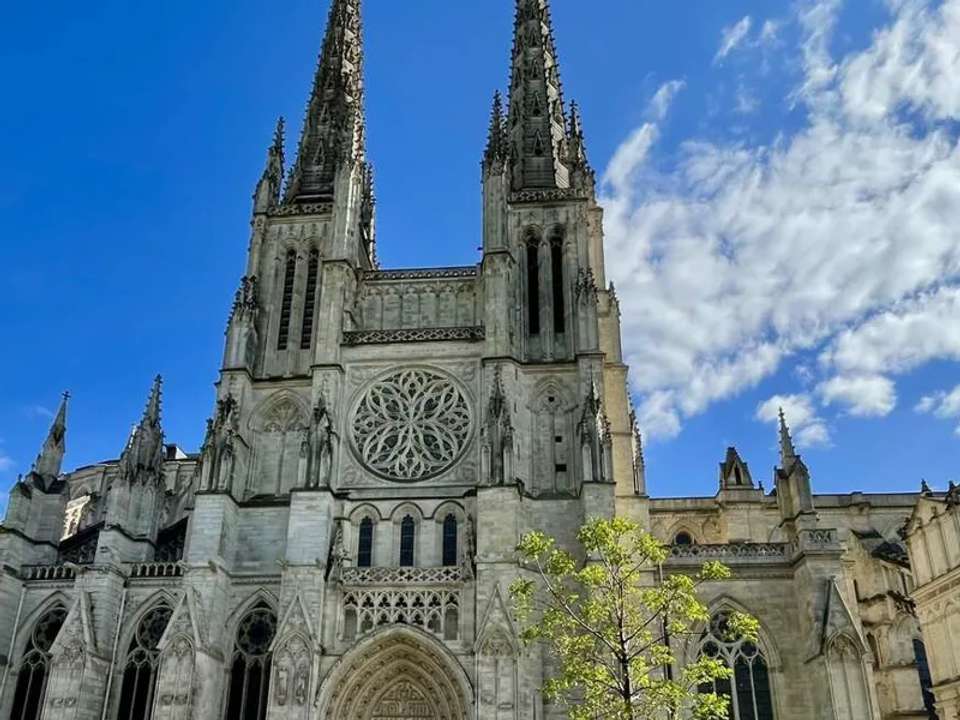 A Taste of Southern France - Bordeaux to Carcassonne - undefined - Image 16
