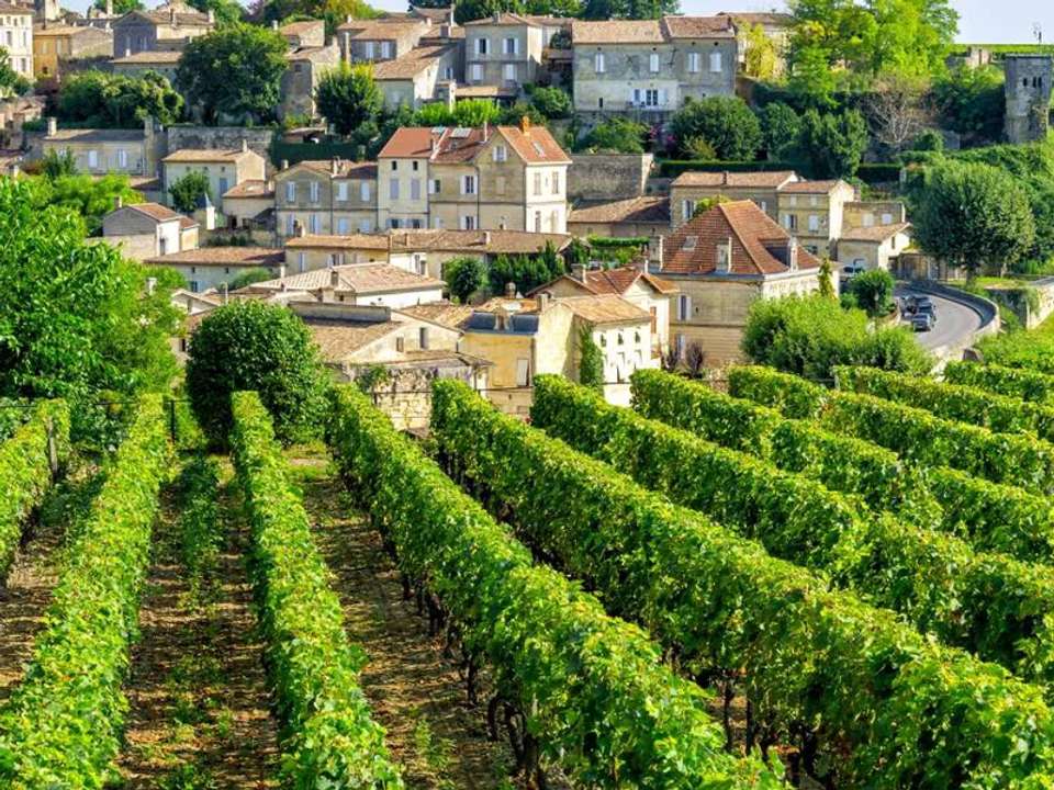 A Taste of Southern France - Bordeaux to Carcassonne - undefined - Image 12