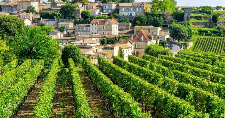A Taste of Southern France  - Bordeaux to Toulouse trip - alternative tour available