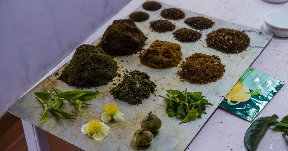 A Taste of Southern India - Temples and Tea Plantations - Explore - India - Image 10