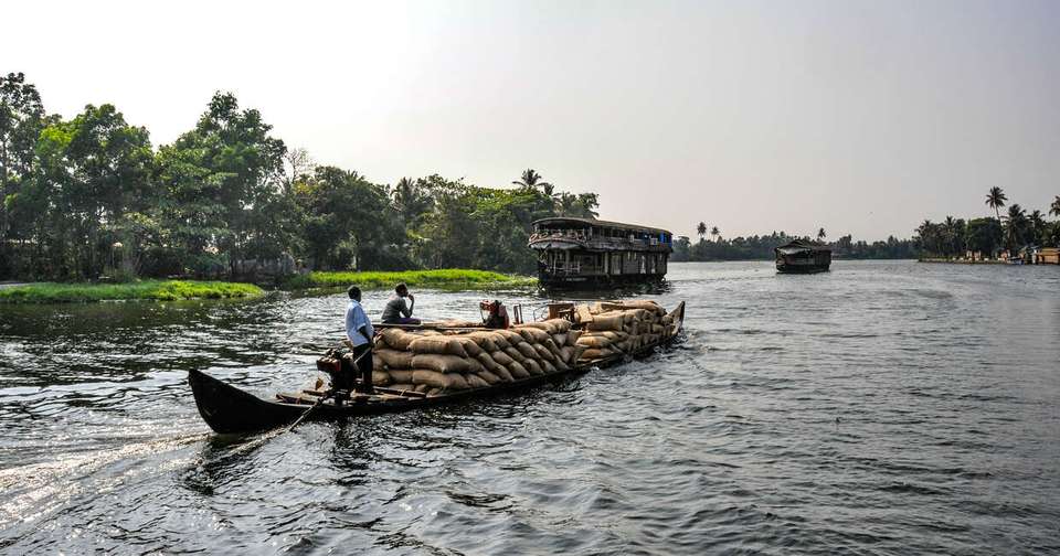 A Taste of Southern India - Temples and Tea Plantations - Explore - India - Image 7