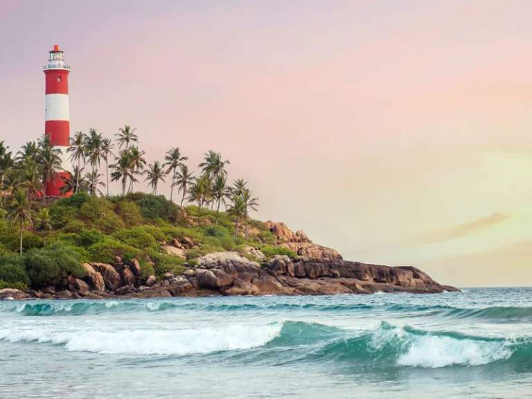 A Taste of Southern India - Temples and Tea Plantations