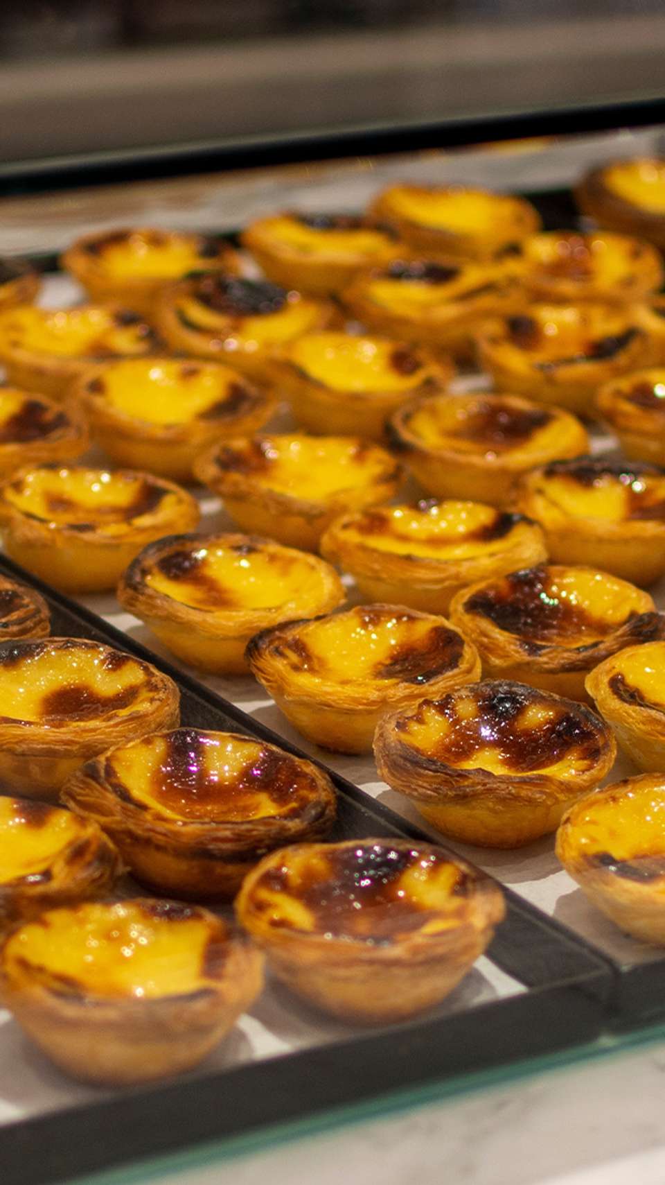 A Taste of the Camino: Porto to Bilbao - Back-roads Touring - Portugal