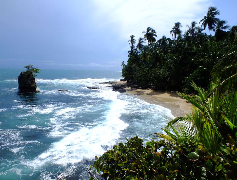 A taste of the Caribbean - Green World Adventures - Costa Rica - Image 7