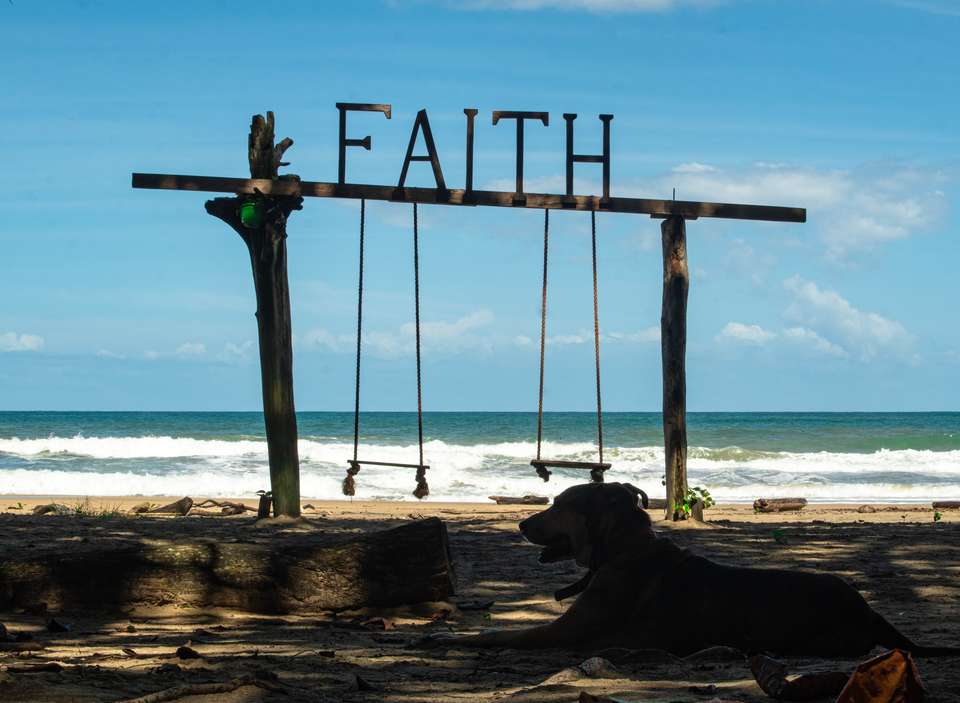 A taste of the Caribbean - Green World Adventures - Costa Rica - Image 8