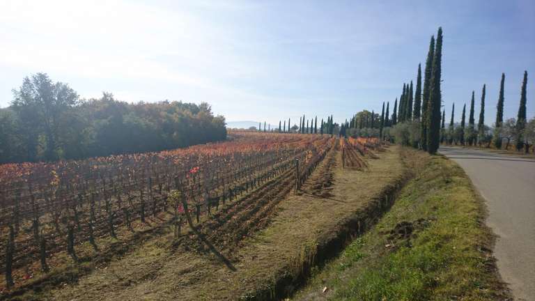 A Taste of Tuscany Cycling trip - alternative tour available