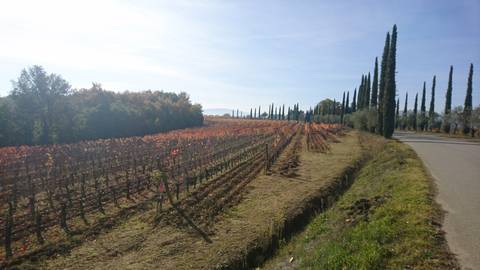 A Taste Of Tuscany Cycling - 8 Days