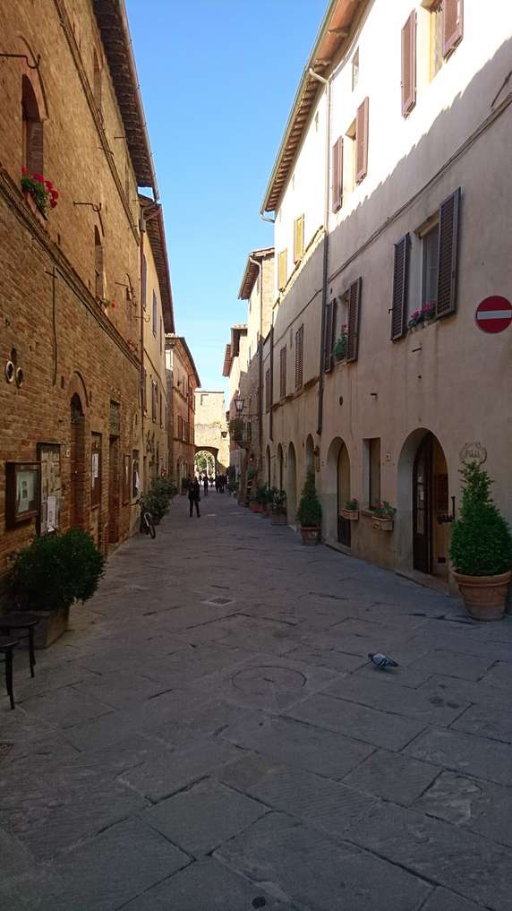 Image 2 of 13