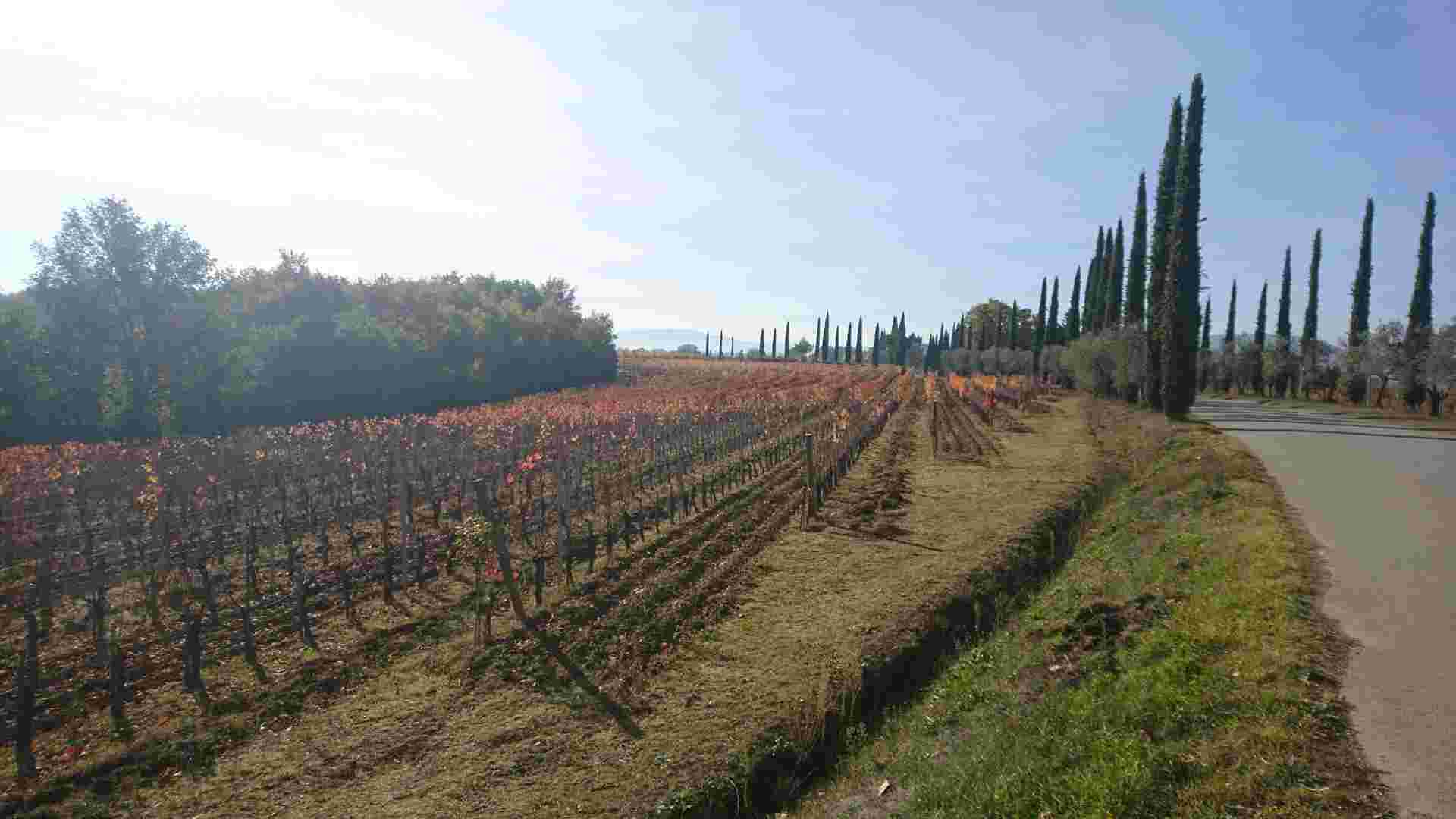 A Taste of Tuscany Cycling