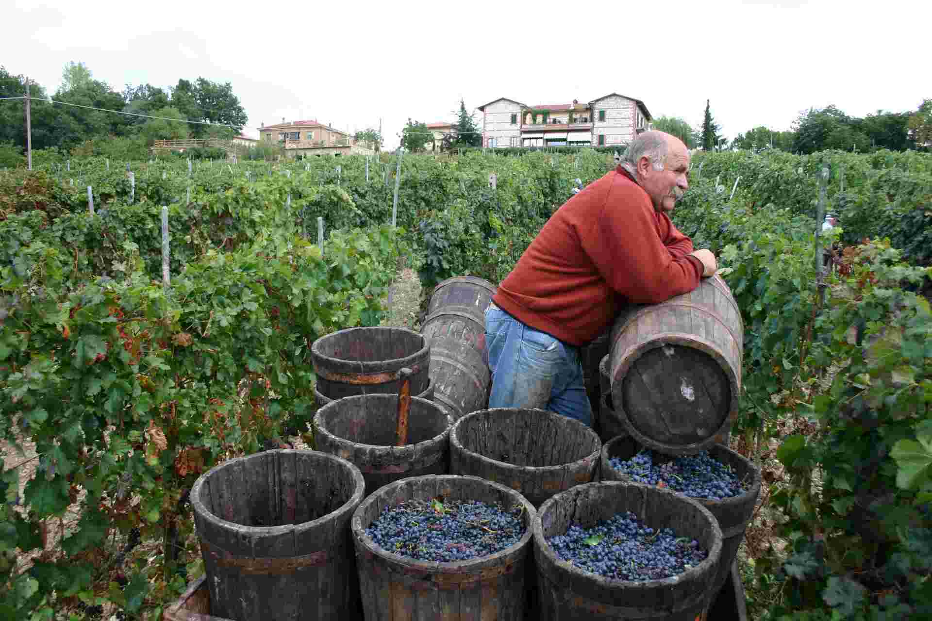 A Taste of Tuscany Cycling