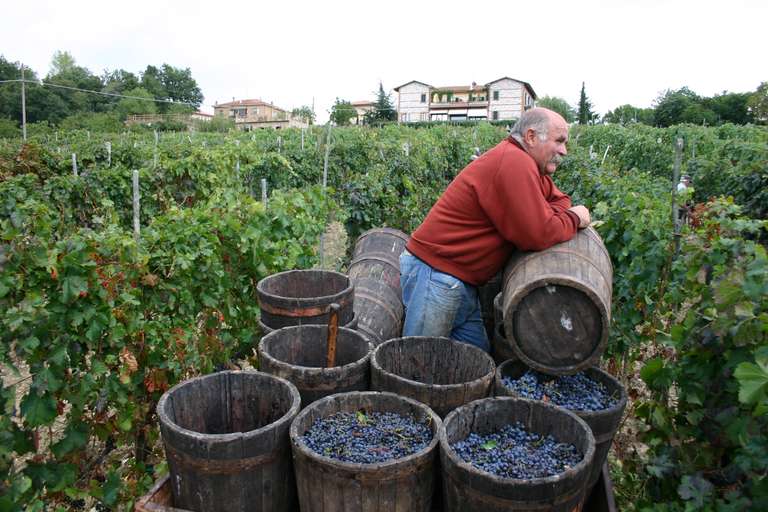 A Taste of Tuscany Cycling