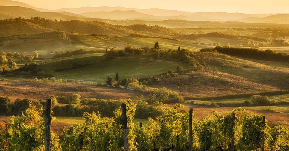 A Taste of Tuscany - Hilltop Towns and Vineyards - Explore - Italy