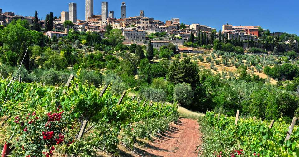A Taste of Tuscany - Hilltop Towns and Vineyards - Explore - Italy