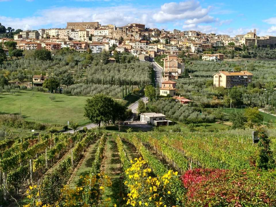 A Taste of Tuscany Self-Guided Walking - Exodus Adventure Travels - Italy - Image 3