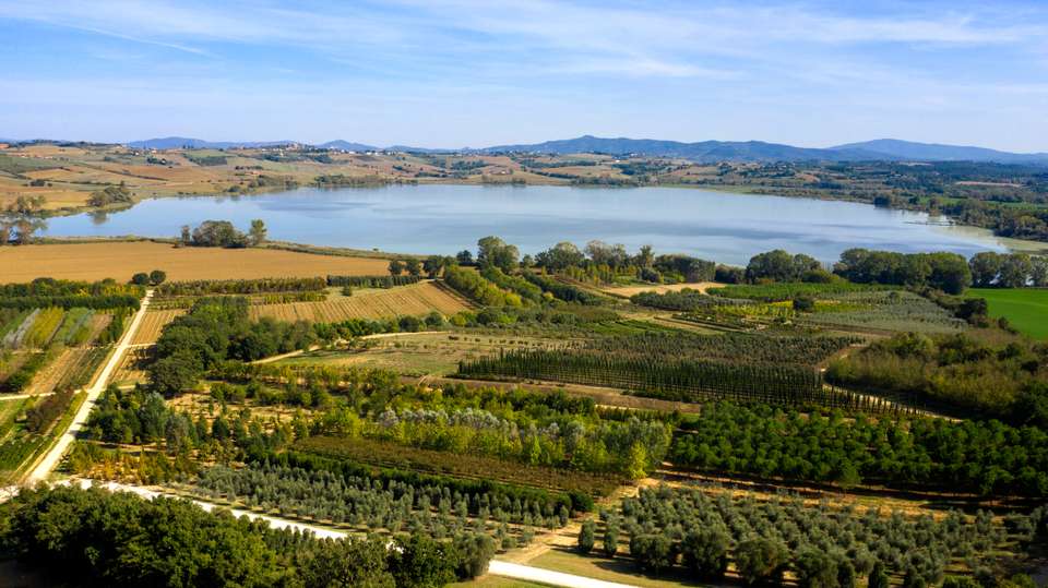 A Taste of Tuscany Self-Guided Walking - Exodus Adventure Travels - Italy - Image 7