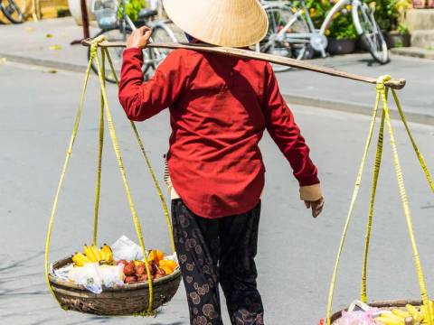Vietnam City Sightseeing Tour: A Taste Of Vietnam - Halong Bay To The Mekong Delta