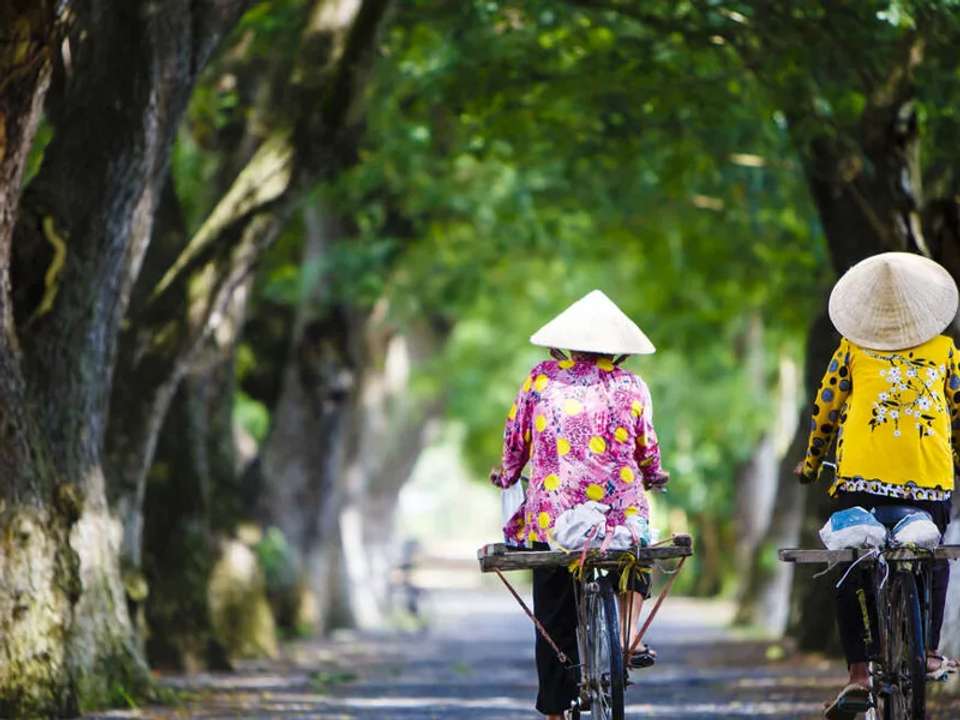 A Taste of Vietnam - Halong Bay to the Mekong Delta - undefined - Image 16
