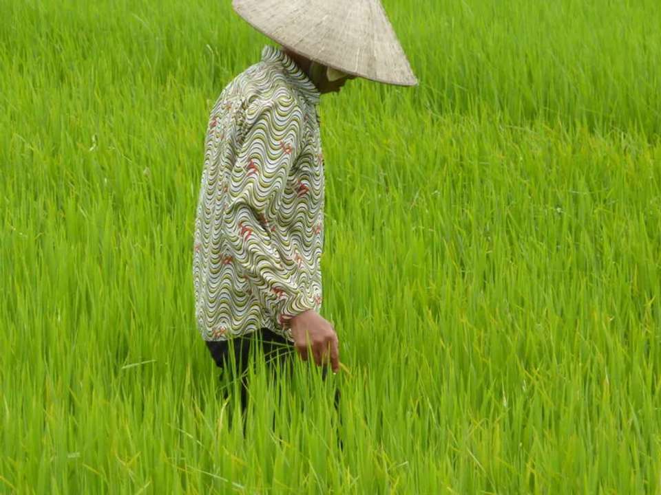 A Taste of Vietnam - Halong Bay to the Mekong Delta - undefined - Image 12