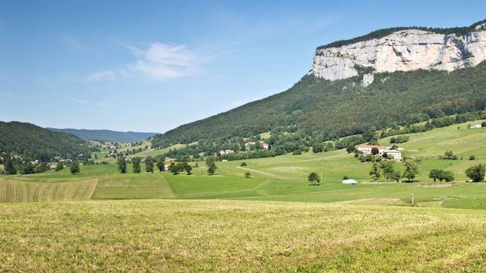 A trip to admire the beautiful scenery of the Rhône valley (port-to-port cruise) - Tweet World Travel - France - Image 5