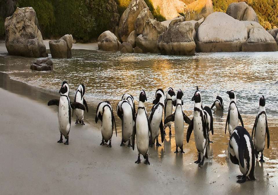 A World In One Country - Indus Travels - South Africa - Image 1