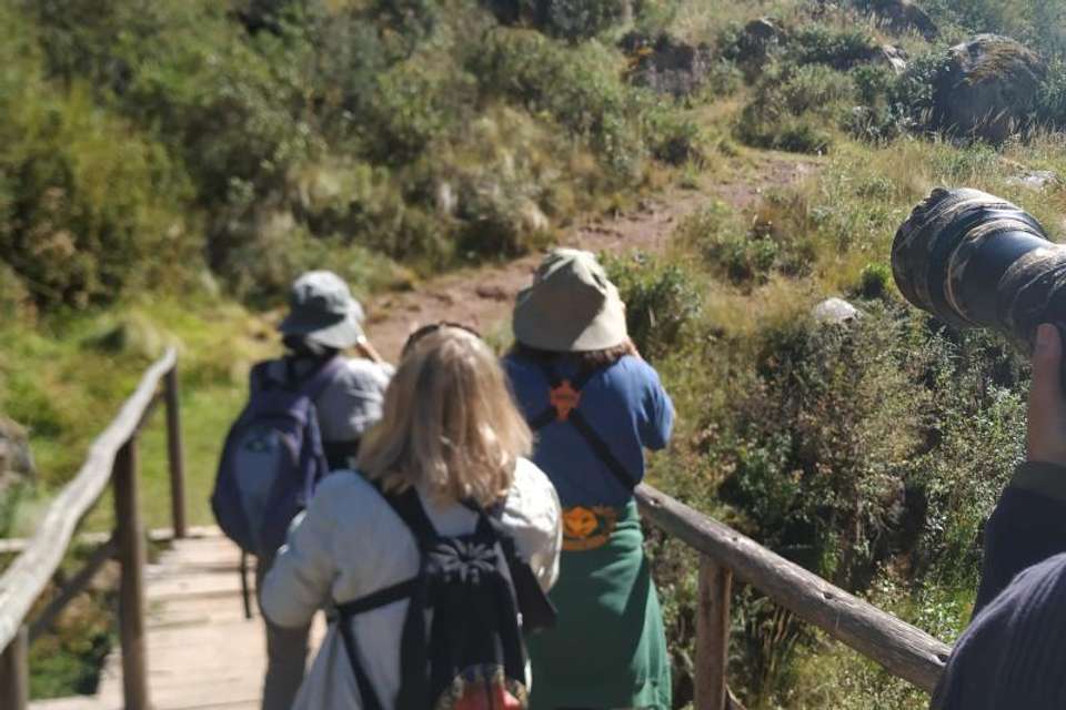 Abra Malaga Birdwatching from Ollantaytambo - Tangol Tours - Peru - Image 1