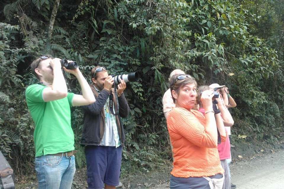 Abra Malaga Birdwatching from Ollantaytambo - Tangol Tours - Peru - Image 6