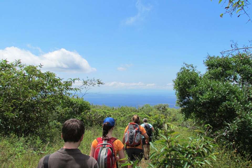 Absolute Galapagos (Grand Daphne) - Intrepid Travel - Ecuador - Image 3