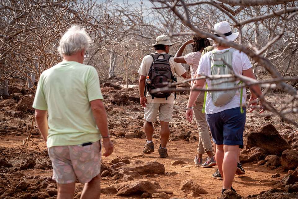 Absolute Galapagos (Grand Daphne) - Intrepid Travel - Ecuador - Image 4