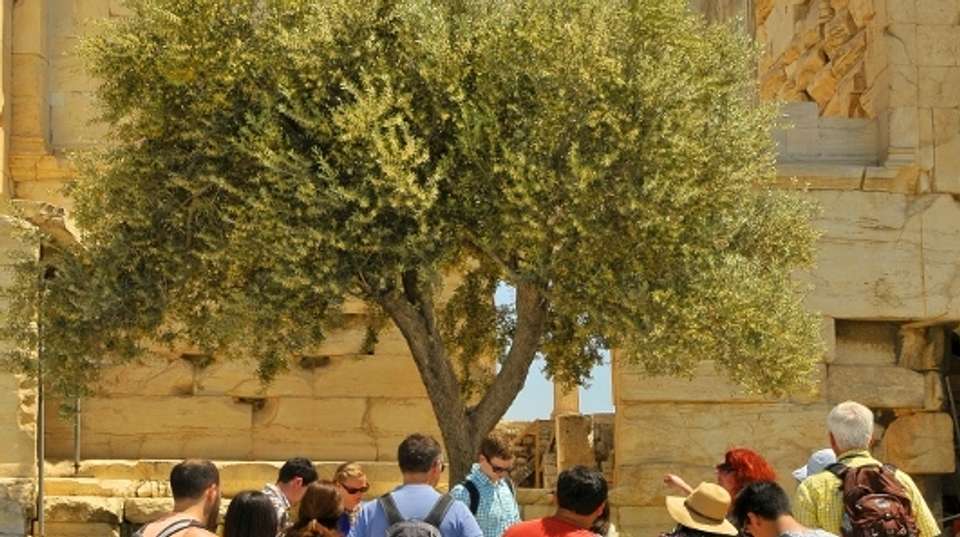 Acropolis & City Tour - Athens Walking Tours - Greece - Image 7