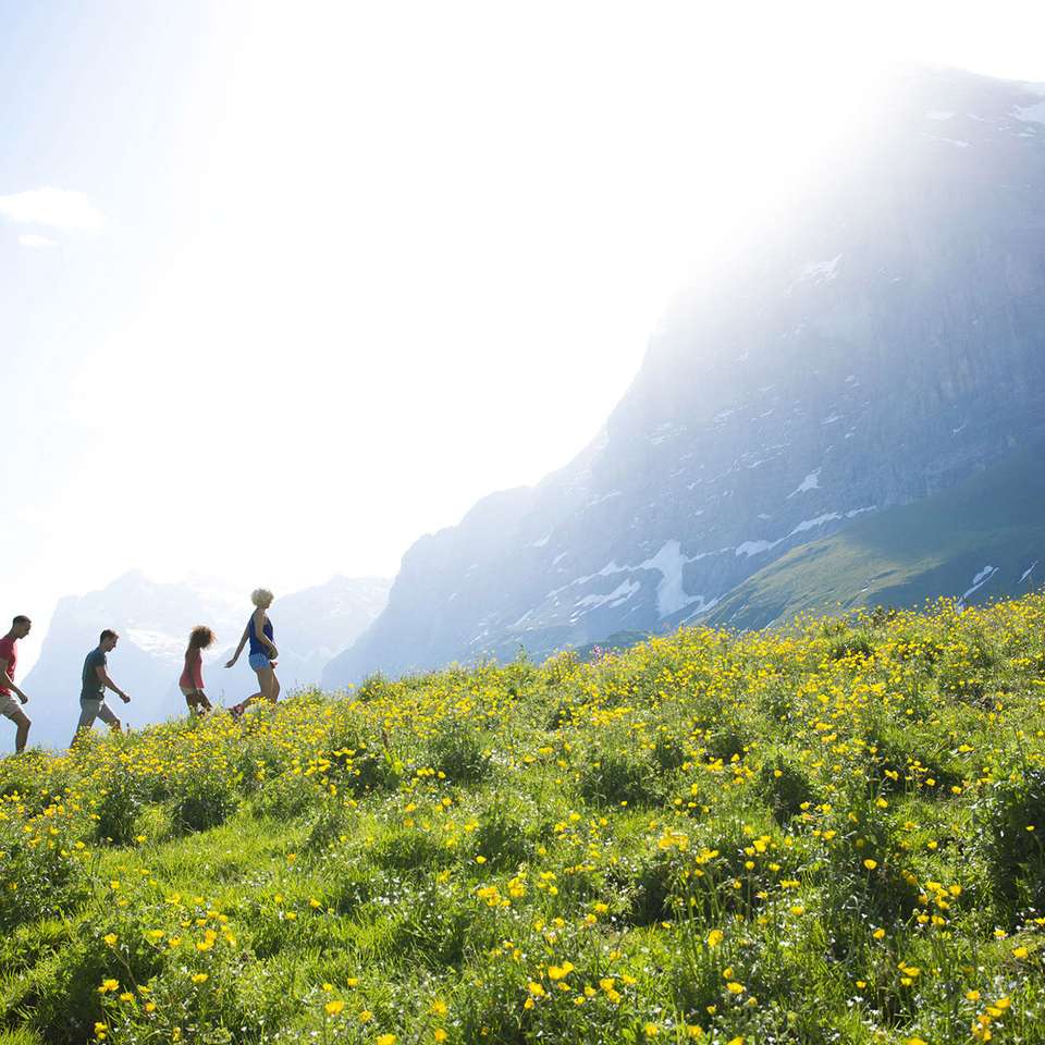 Active Alps - Contiki - Austria - Image 5