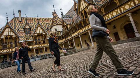Walking The Vineyards Of Burgundy