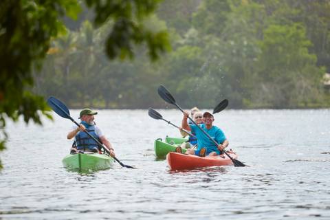 Marine Wildlife Tour: Active Costa Rica: Waterways & Wildlife