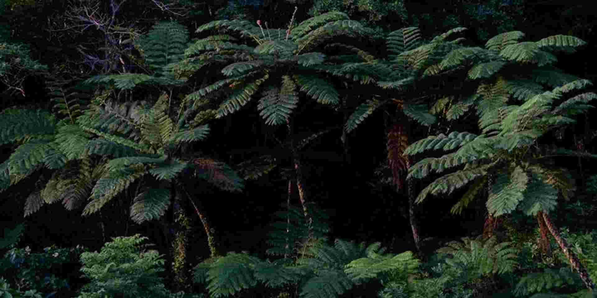 Active Japan: Hokkaido Highlights & Okinawa Island Hopping