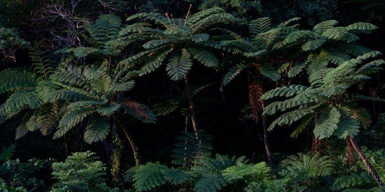 Sapporo Explorer Tour: Active Japan: Hokkaido Highlights & Okinawa Island Hopping