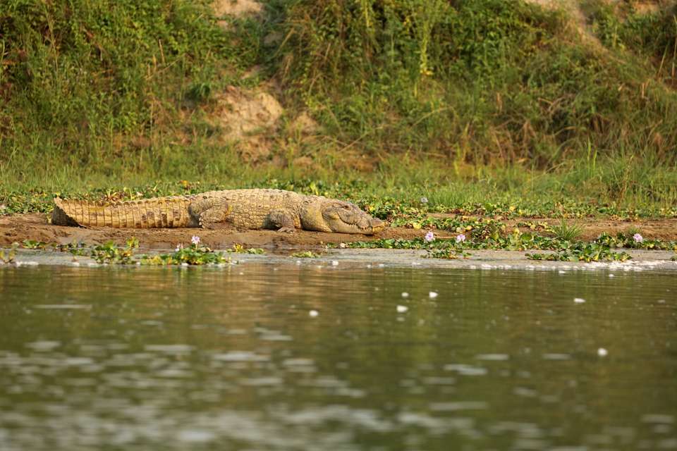 Image 6 of 19