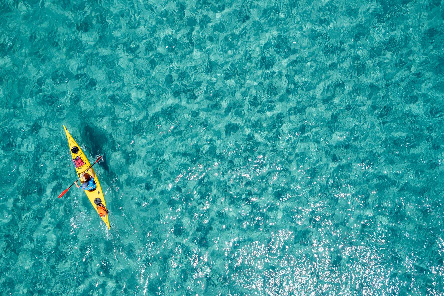 Image 1 of 22