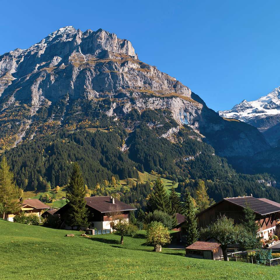 Active Swiss Alps - Contiki - Switzerland - Image 3