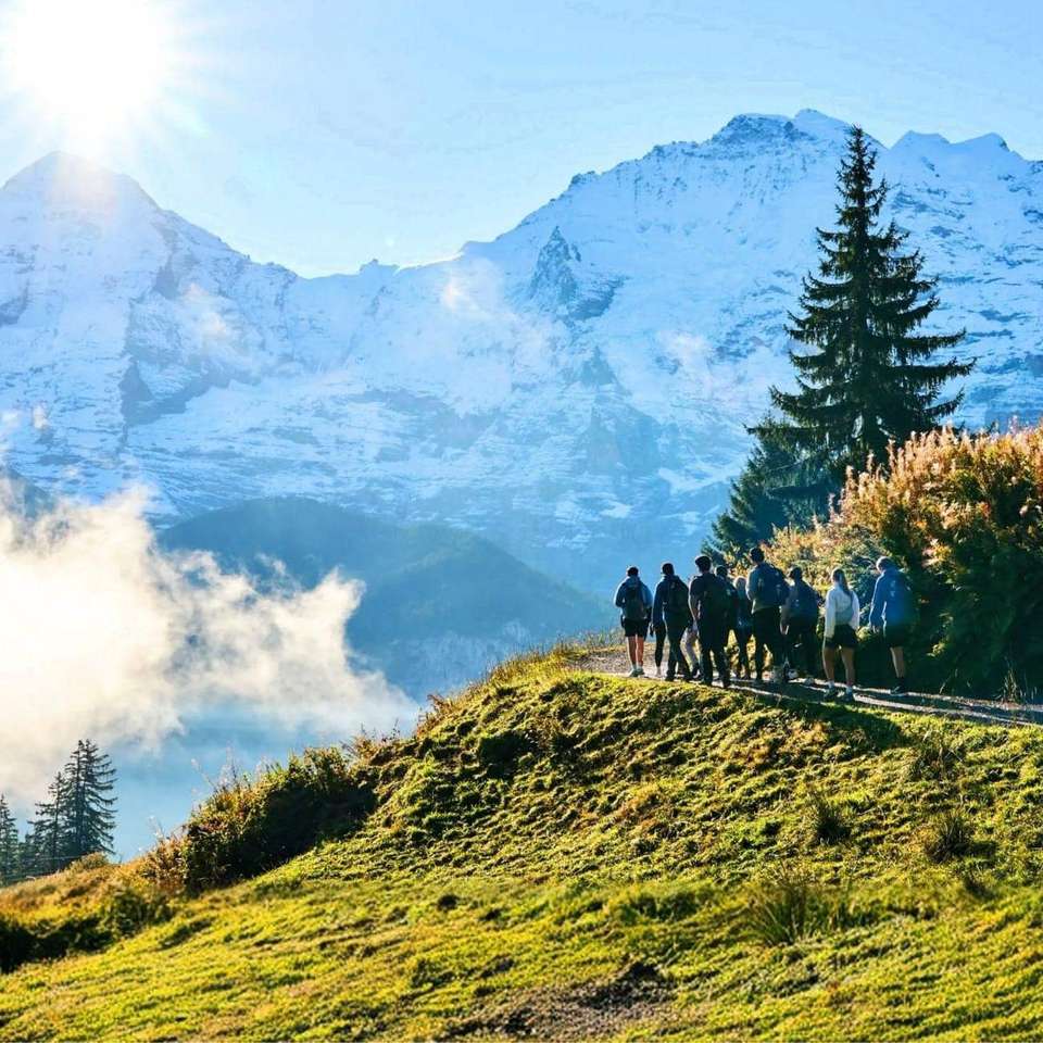 Active Swiss Alps - Contiki - Switzerland - Image 3
