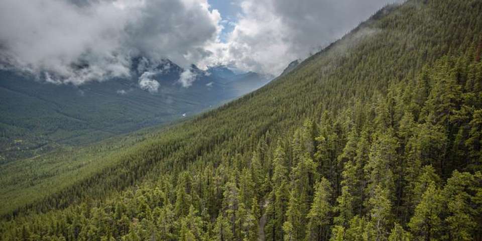 Active West Coast & Canadian Rockies - G Adventures - Canada