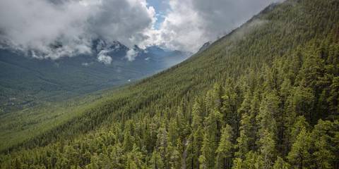 Canada Natural Landmarks Sightseeing Tour: Active West Coast & Canadian Rockies