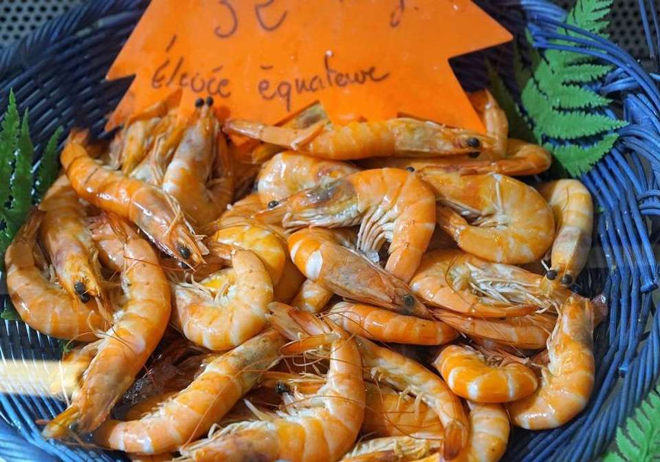 Adriatic Southern Pearl Cruise from Dubrovnik - Indus Travels - Croatia - Image 1