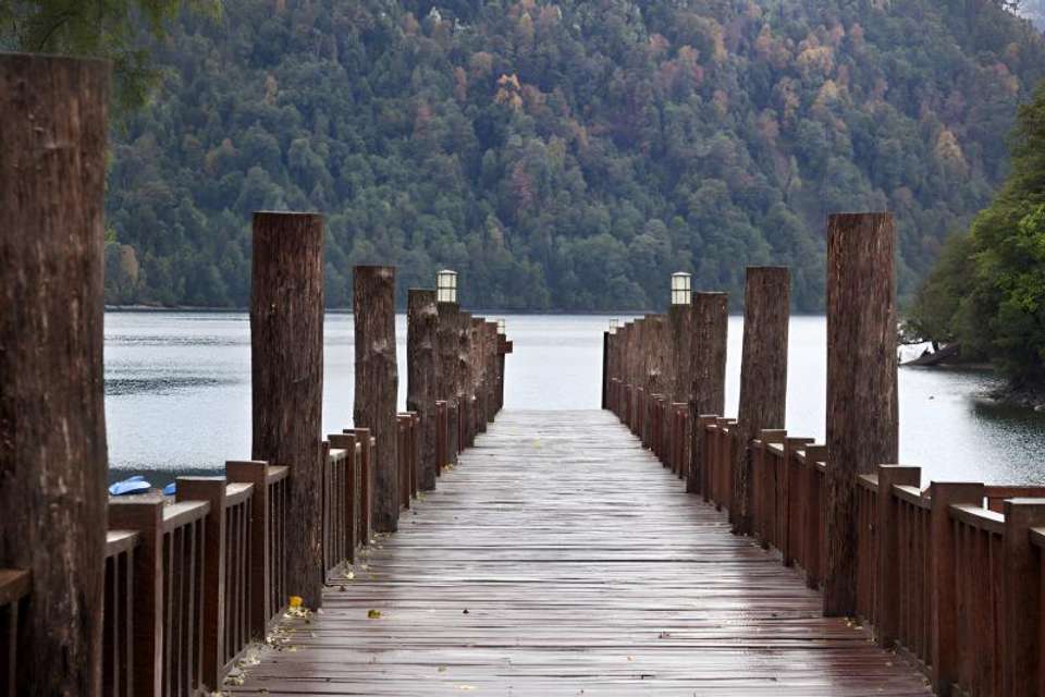 Adventure to Huilo Huilo Biological Reserve from Valdivia - Tangol Tours - Chile - Image 2