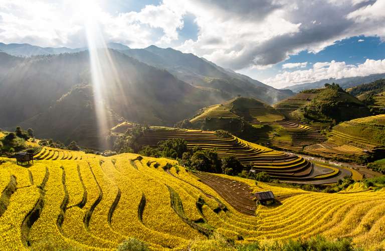 Hanoi Adventure Tour: Adventure To Mu Cang Chai Rice Fields 3 Days 2 Nights