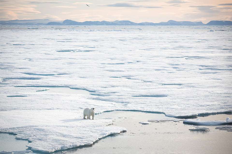 Adventures in Northeast Greenland: Glaciers, Fjords and the Northern Lights - Intrepid Travel - Iceland - Image 6