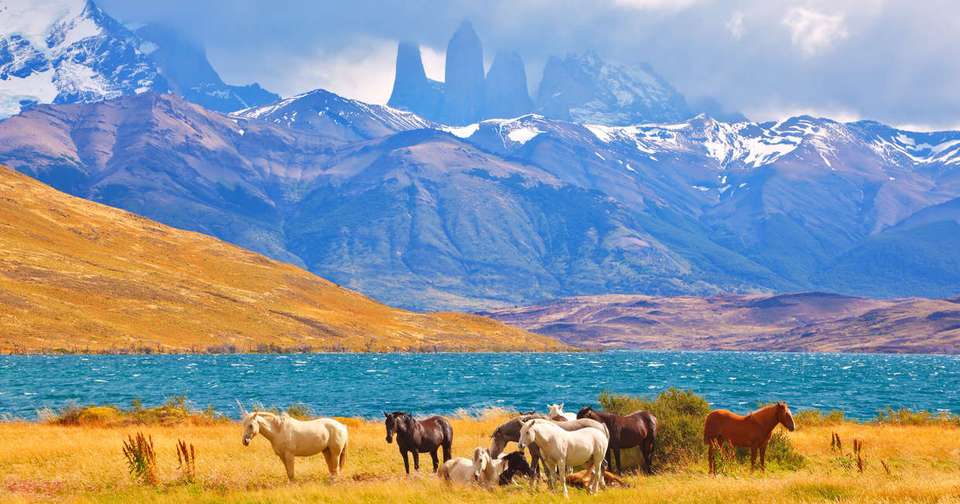 Adventures in Patagonia - Explore - Argentina - Image 7