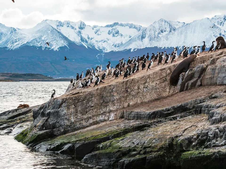 Adventures in Patagonia - undefined - Image 9