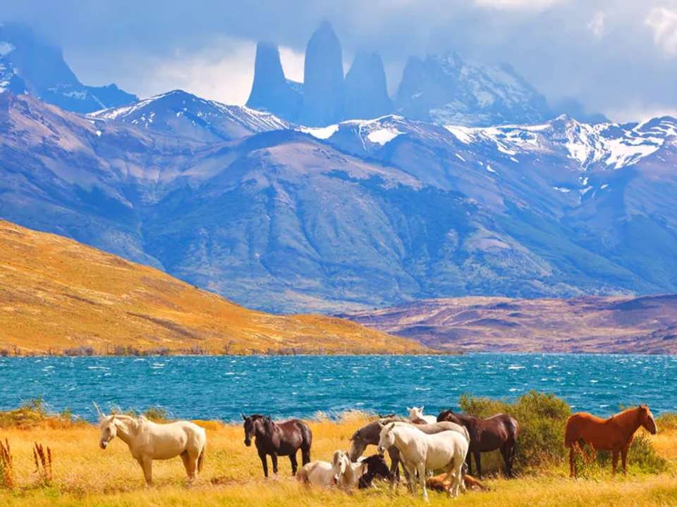 Adventures in Patagonia - undefined - Image 7