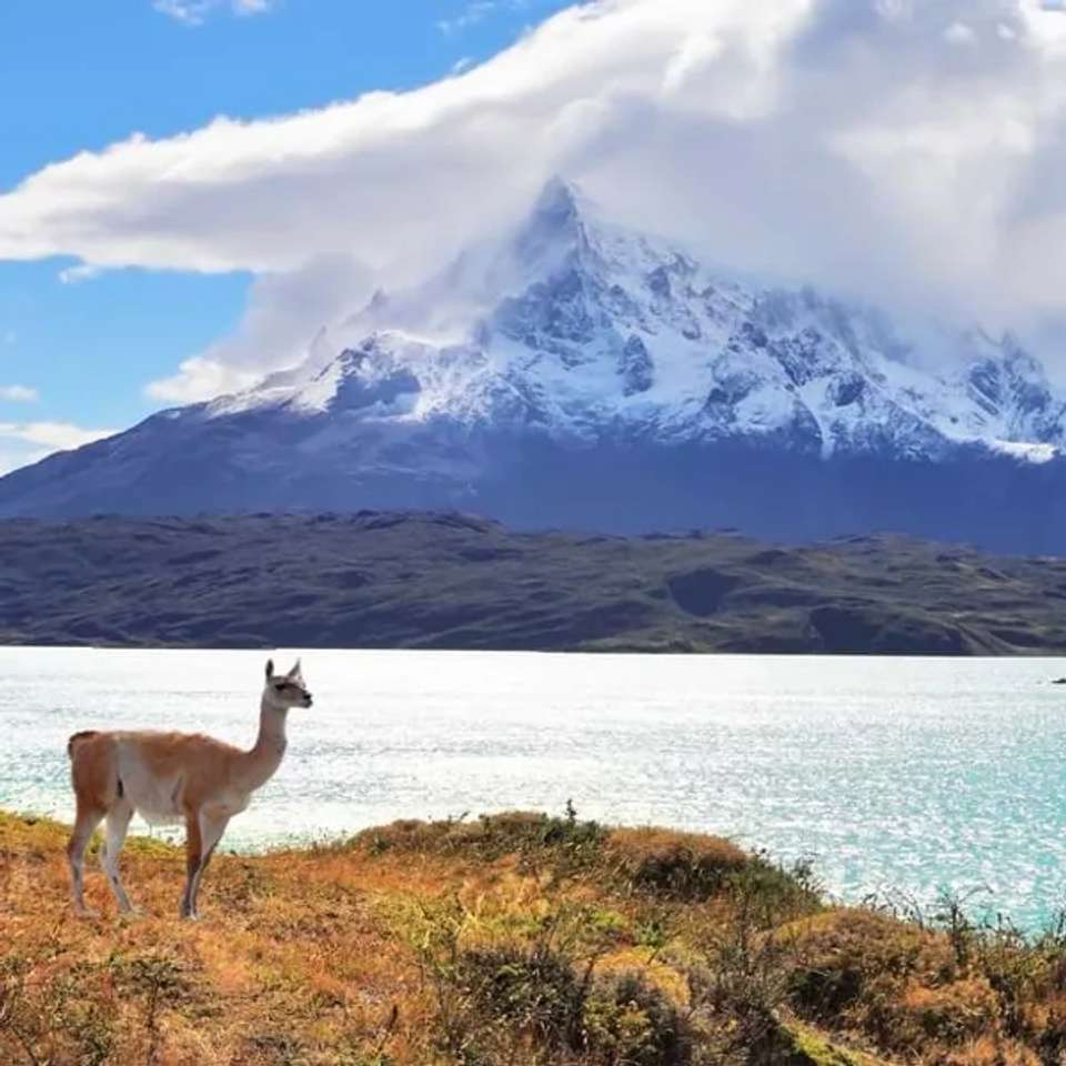 Adventures in Patagonia - undefined - Image 5