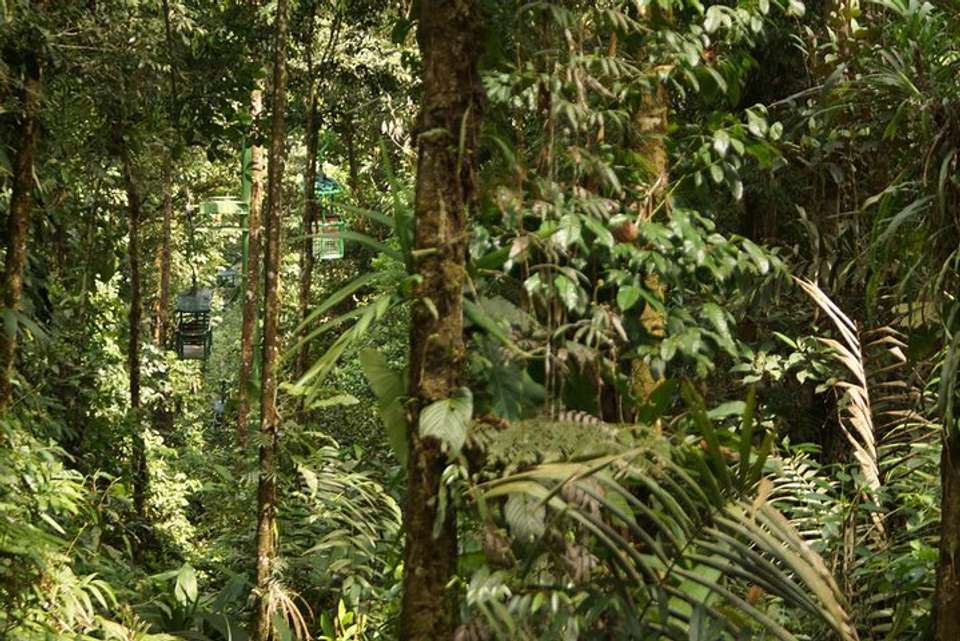 Aerial Tram In Braulio Carrillo National Park From San José - undefined - Image 6